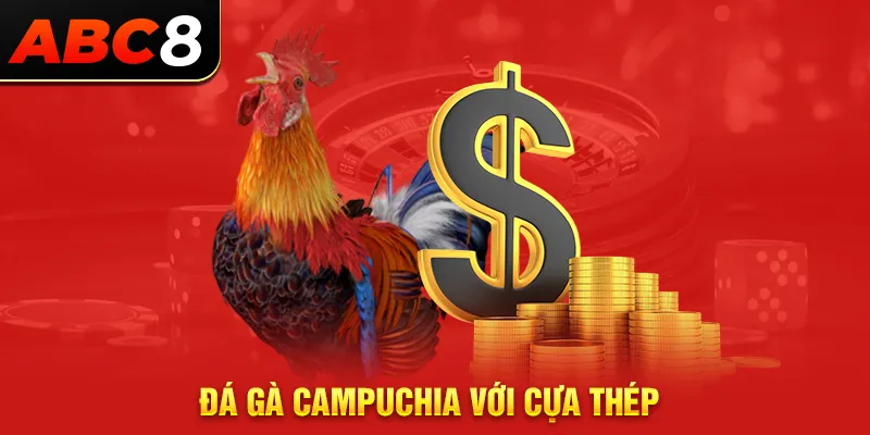 Đá gà Campuchia với cựa thép