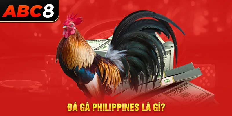 Đá gà Philippines là gì?