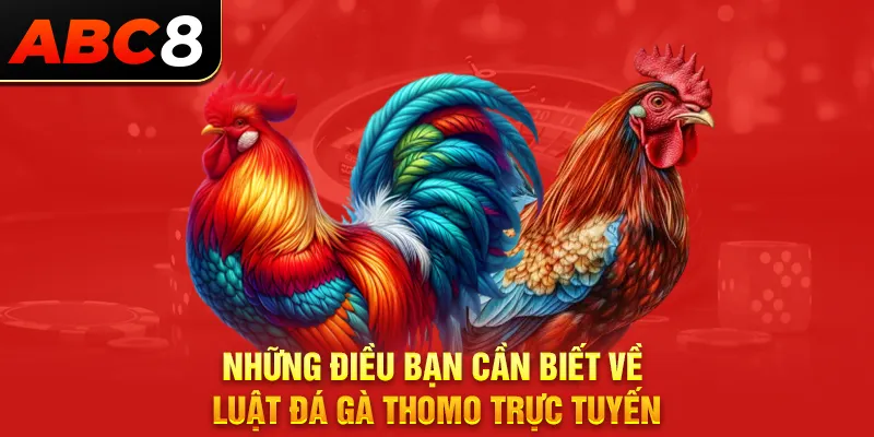 Những điều bạn cần biết về luật đá gà Thomo trực tuyến